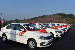 瀘州市屹達機動車駕駛員培訓(xùn)服務(wù)掛牌成立